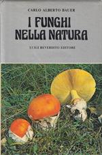 I Funghi Nella Natura