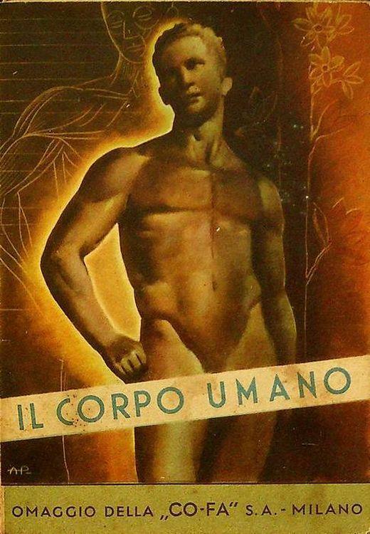 Il corpo umano - copertina