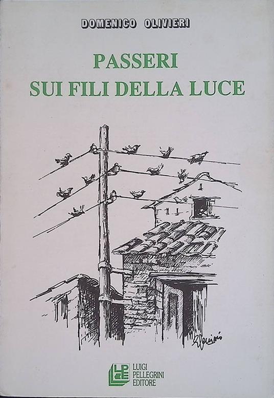 Passeri sui fili della luce - copertina