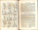 Roman antiquities: or an account of the manners and customs of the romans designed to illustrate the latin classics, by explaining words and phrases, from the rites and customs to which they refer