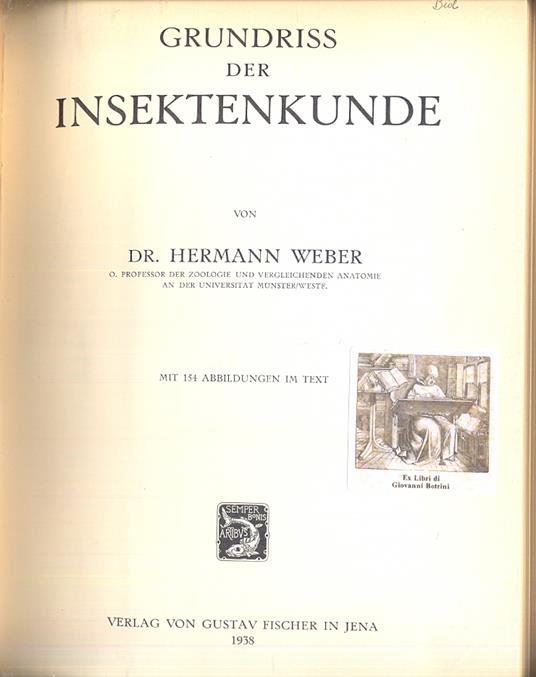 Grundriss der insektenkunde - copertina