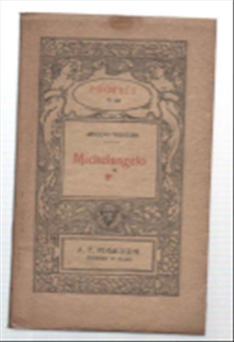 Michelangelo - Adolfo Venturi - copertina