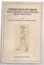 Domenico Pertini Nella Cultura E Nella Politica Degli Anni Venti. Atti Del Co..