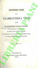 Opuscoli varj di Giambattista Vico cioe' De antiquissima italorum sapientia de parthenopea conjuratione, de rebus gestis Antonii Caraphei. Io. Baptistae Vici In Acta Eruditorum Lipsiensia Notae, De Nostri Temporis Studiorum Ratione