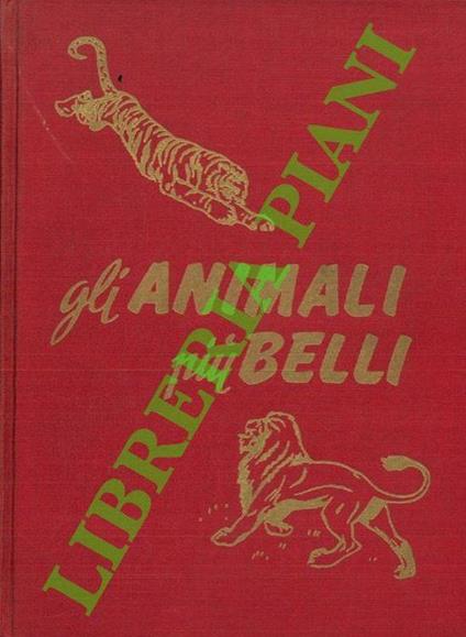 Gli animali più belli - copertina