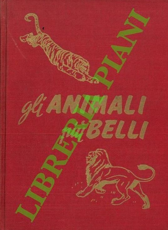Gli animali più belli - copertina