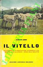 Il vitello
