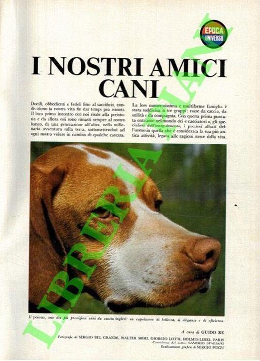 Epoca-Universo. I nostri amici cani. Fascicoli 1-3 Gli uccelli. Prima e seconda parte. Il mare. I passi di Gesù. Questo è il vero presepe. La Bibbia - Guido Re - copertina