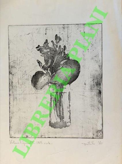 Viole - Sergio Paganelli - copertina