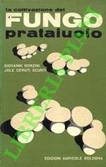 La coltivazione del fungo prataiuolo