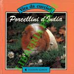 Fogli di via