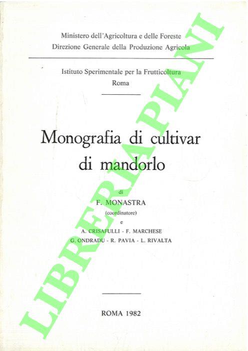 Libreria Piani