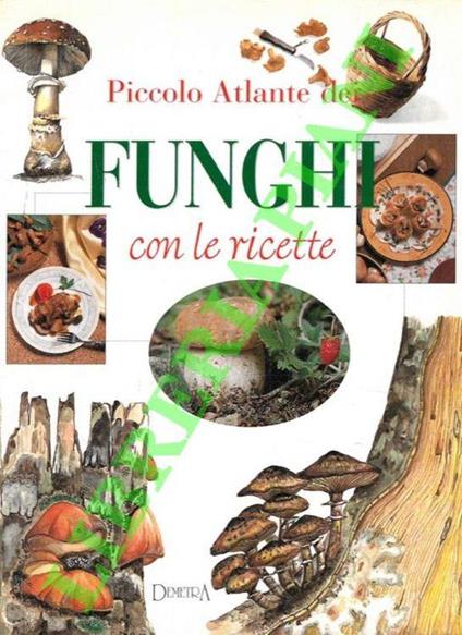 Piccolo atlante dei funghi con le ricette - Silvana Franconeri - copertina