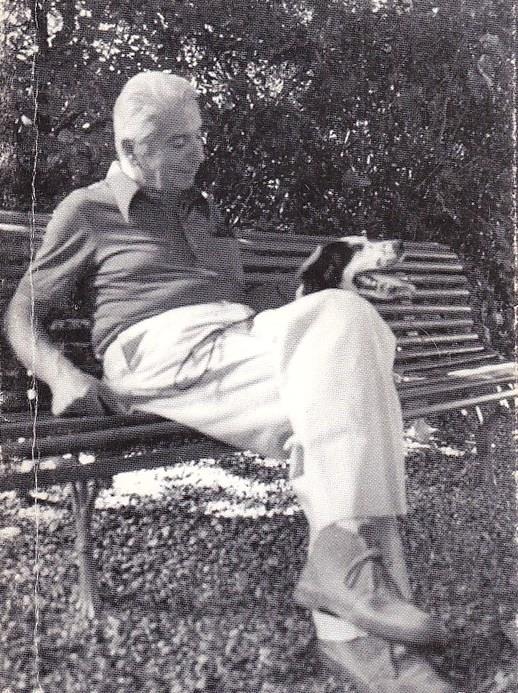 Uno Scrittore Come Brandi iconogrfia, Nota Biografica e Bibliografia Essenziale Di Cesare Brandi - Giuseppe Appella - copertina