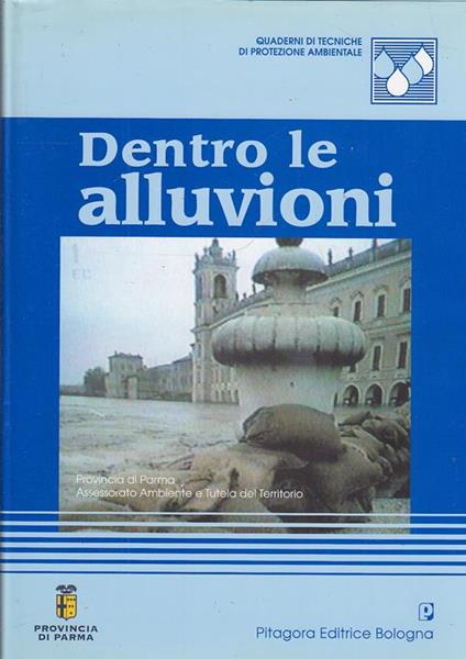 Dentro le alluvioni - copertina