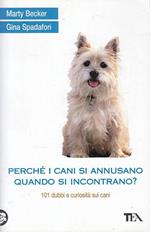 Perché i cani si annusano quando si incontrano? 101 dubbi e curiosità sui cani