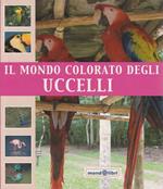 Il Mondo Colorato Degli Uccelli