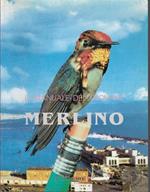 Il Manuale Del Giovane Merlino