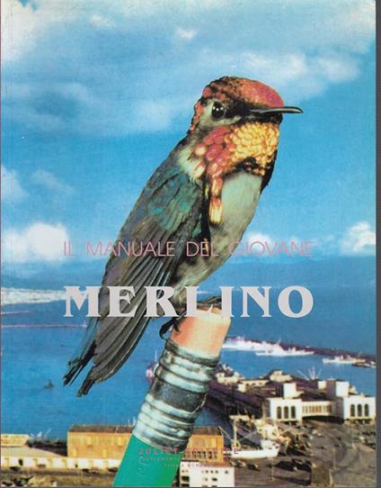 Il Manuale Del Giovane Merlino - copertina