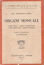 Organi Sessuali