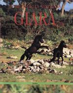 Giara