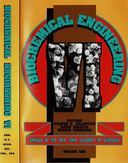 Biochemical Engineering VI - copertina