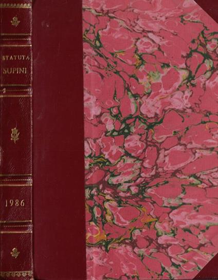 Statua Castri et universitatis Supini - Cesare Bianchi - copertina