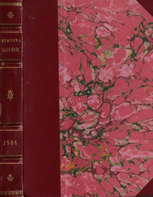 Statua Castri et universitatis Supini - Cesare Bianchi - copertina