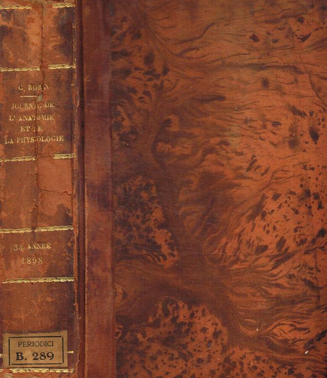 Biblioteca di Babele