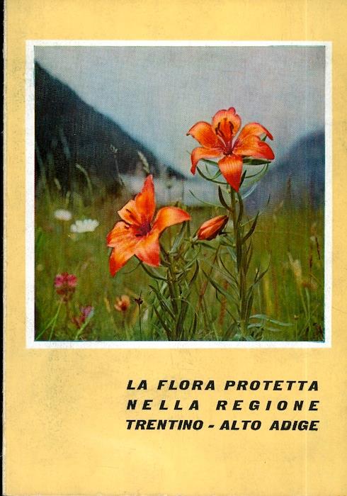 Studio Bibliografico Adige