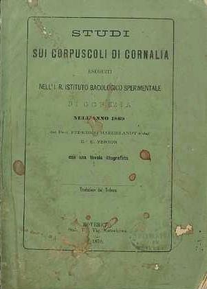 Studio Bibliografico Adige