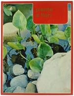 Piante E Fiori