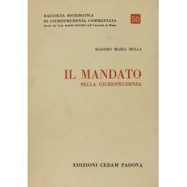 Il mandato nella giurisprudenza - copertina