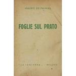 Foglie sul prato