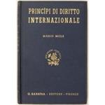 Principi di diritto internazionale