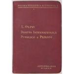 Manuale di diritto internazionale pubblico e privato