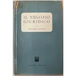 Il negozio giuridico. Lezioni di storia del diritto italiano