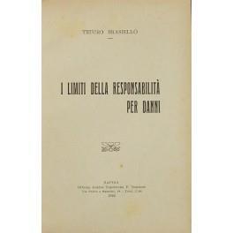 I limiti della responsabilità per danni - copertina