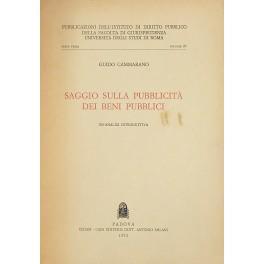 Saggio sulla pubblicità dei beni pubblici. Un'analisi introduttiva - Guido Cammarano - copertina