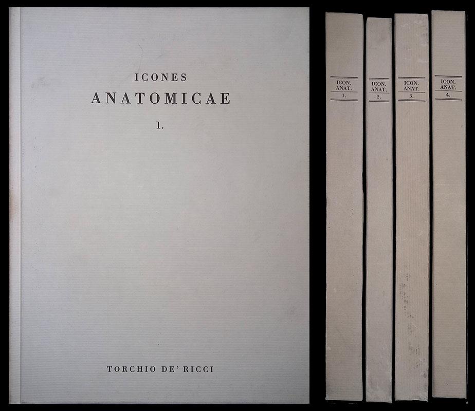 Folignolibri