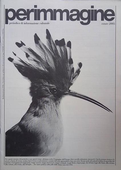 Perimmagine. Estate 2005 - Riccardo Toffoletti - copertina