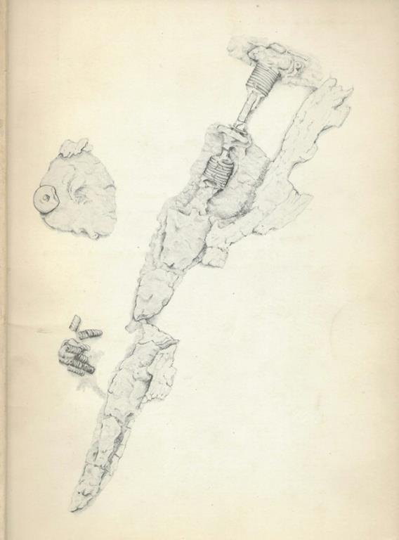 Biblioteca di Babele