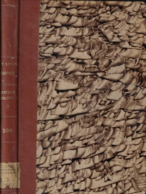 Biblioteca di Babele