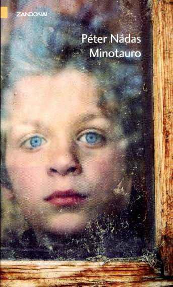 Erba Cedra E Segreti Amori - Il Terremoto Dentro - Ugo Morelli - copertina