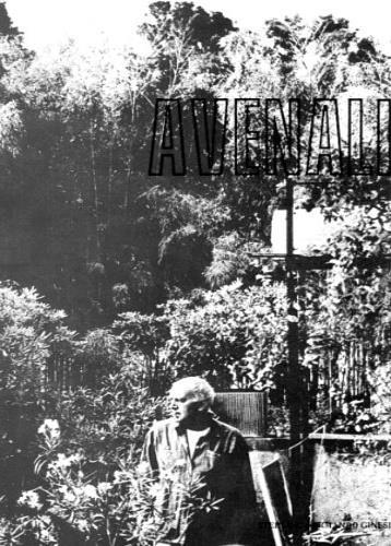 Marcello Avenali - Armando Ginesi - copertina