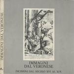 Immagini dal Veronese. Incisioni dal secolo XVI al XIX dalle collezioni del Gabinetto delle stampe