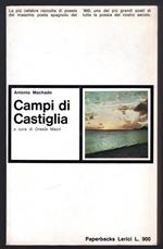 Campi di Castiglia