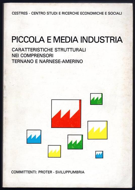 Piccola e media industria. Caratteristiche strutturali nei comprensori ternano e narnese-amerino - copertina