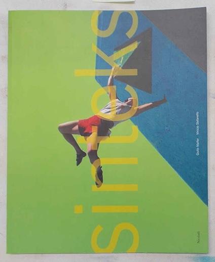 Sinteks - Giulio Malfer - copertina