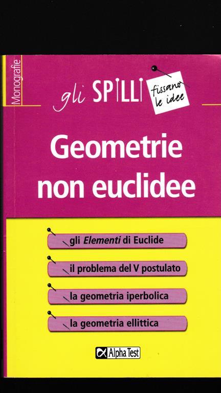 Geometrie non euclidee - Silvia Benvenuti - copertina